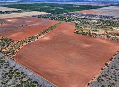 174 acres in Hardeman County