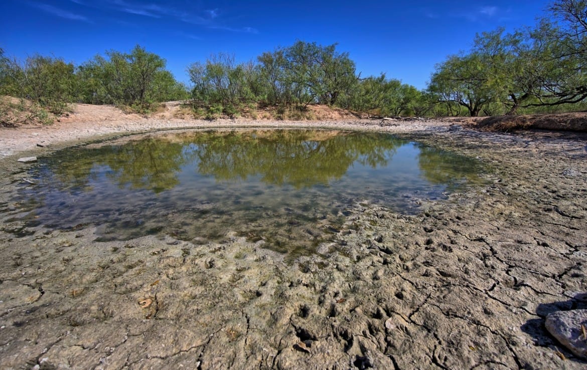 174 acres in Hardeman County