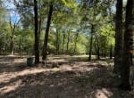 37 acres in Red River County