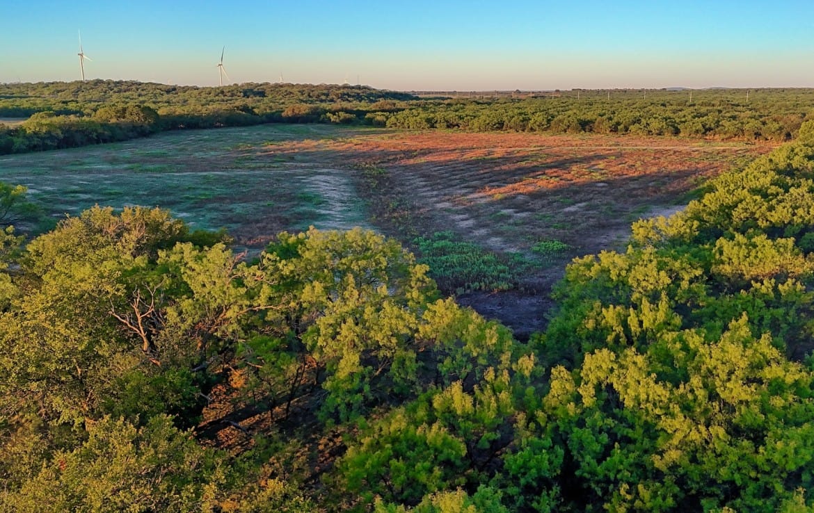 278 acres in Callahan and Shackelford County