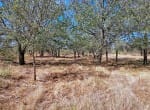 174 acres in Hardeman County