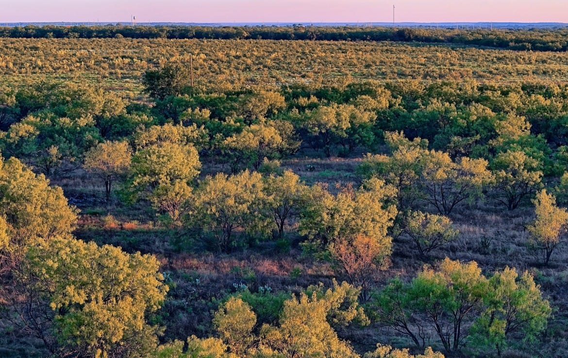 278 acres in Callahan and Shackelford County