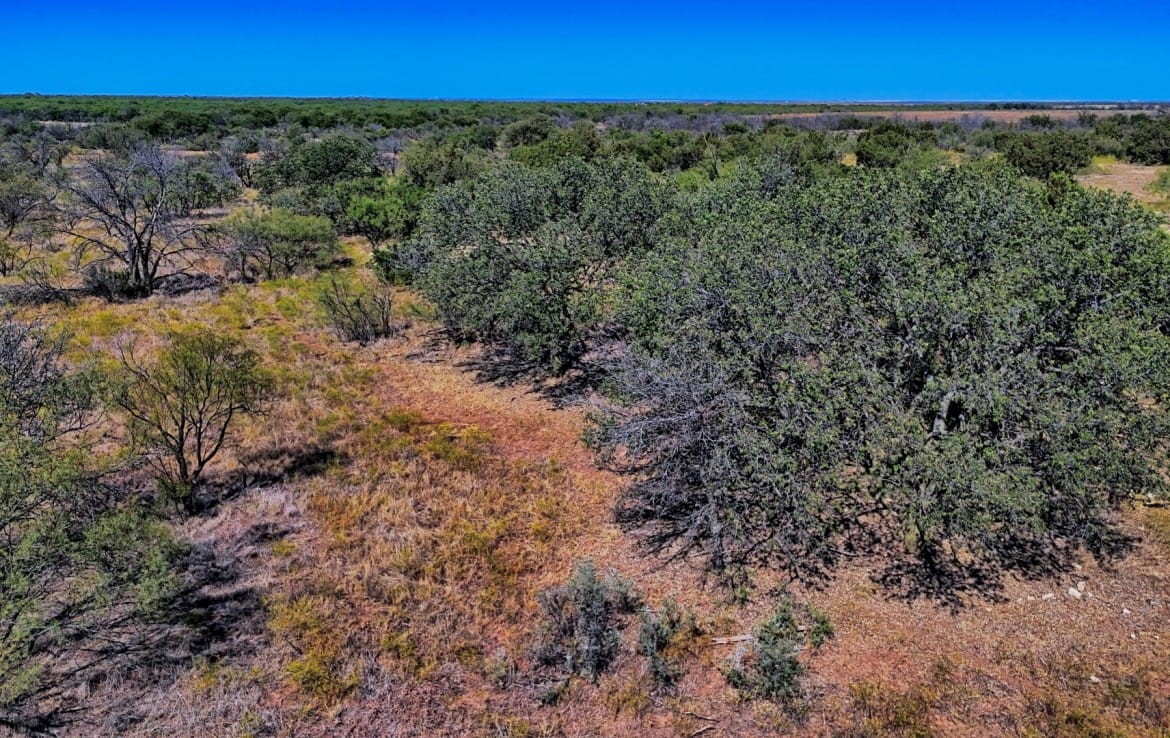 174 acres in Hardeman County