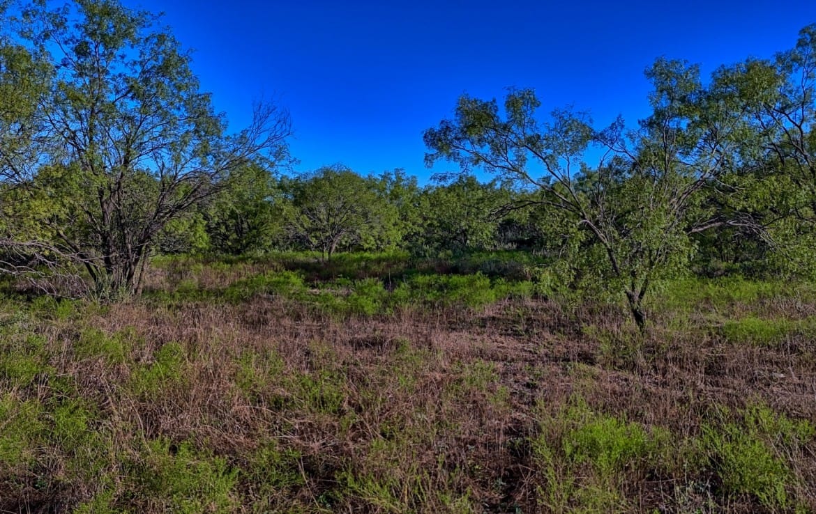 278 acres in Callahan and Shackelford County