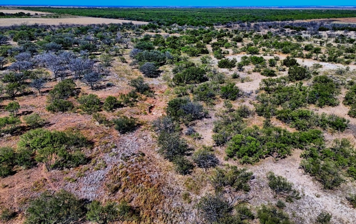 174 acres in Hardeman County