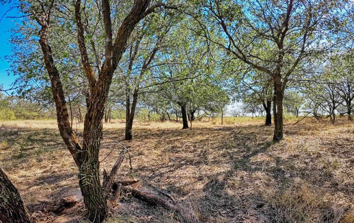 174 acres in Hardeman County
