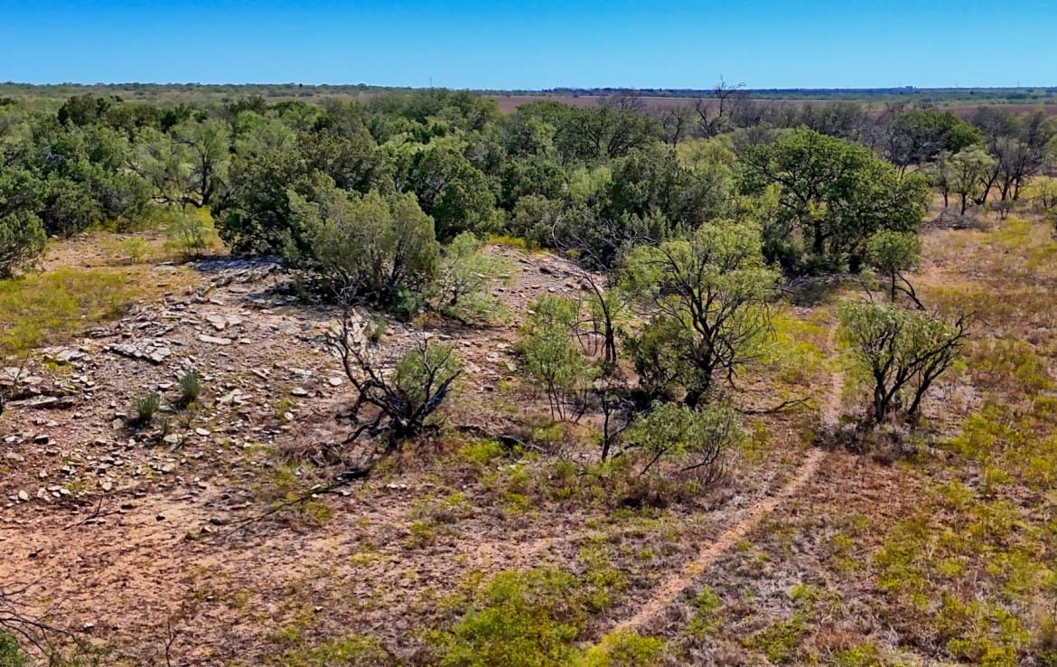 174 acres in Hardeman County