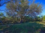 278 acres in Callahan and Shackelford County