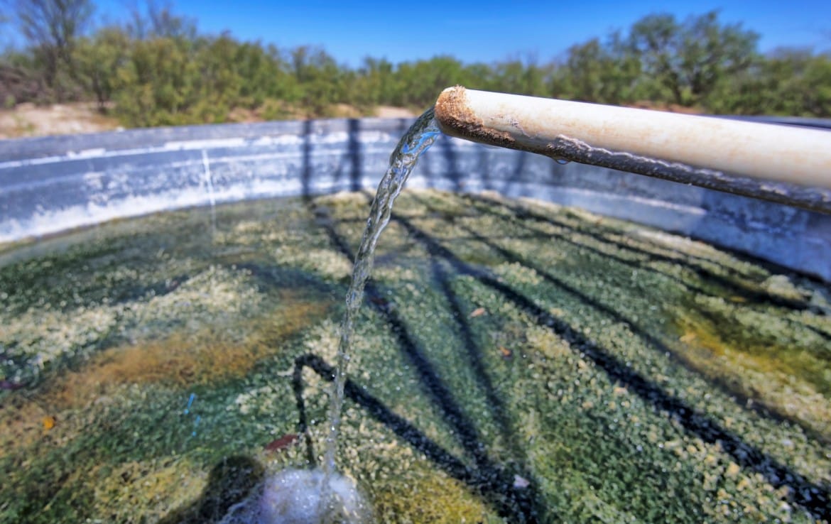 174 acres in Hardeman County