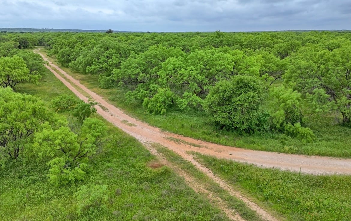 625 acres in Shackleford County