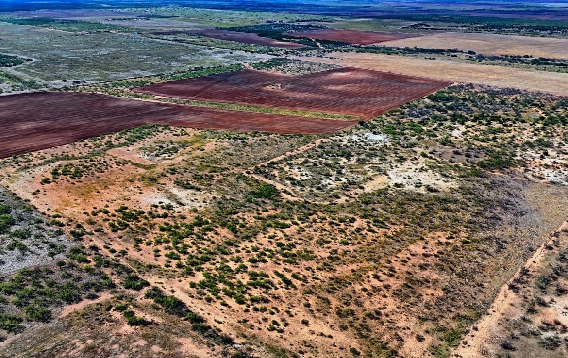 174 acres in Hardeman County