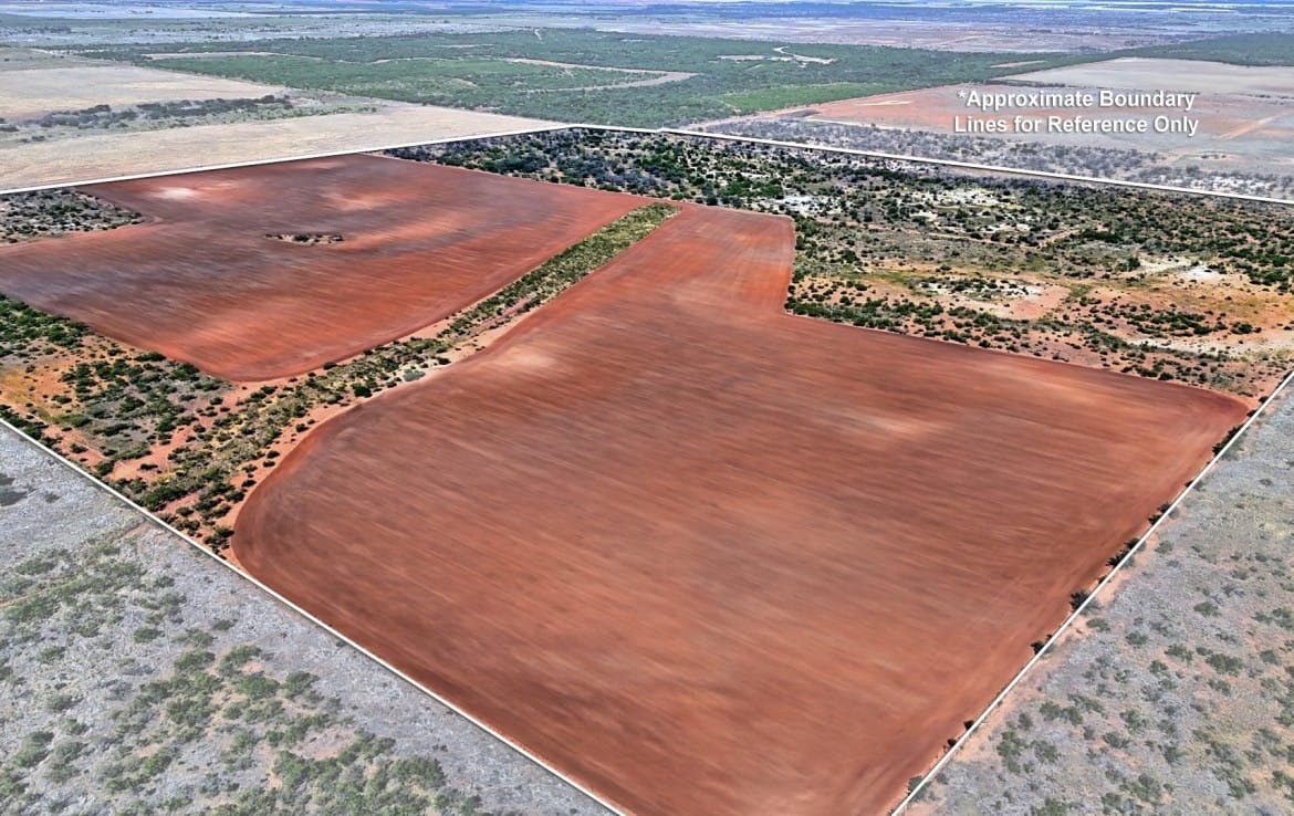 174 acres in Hardeman County