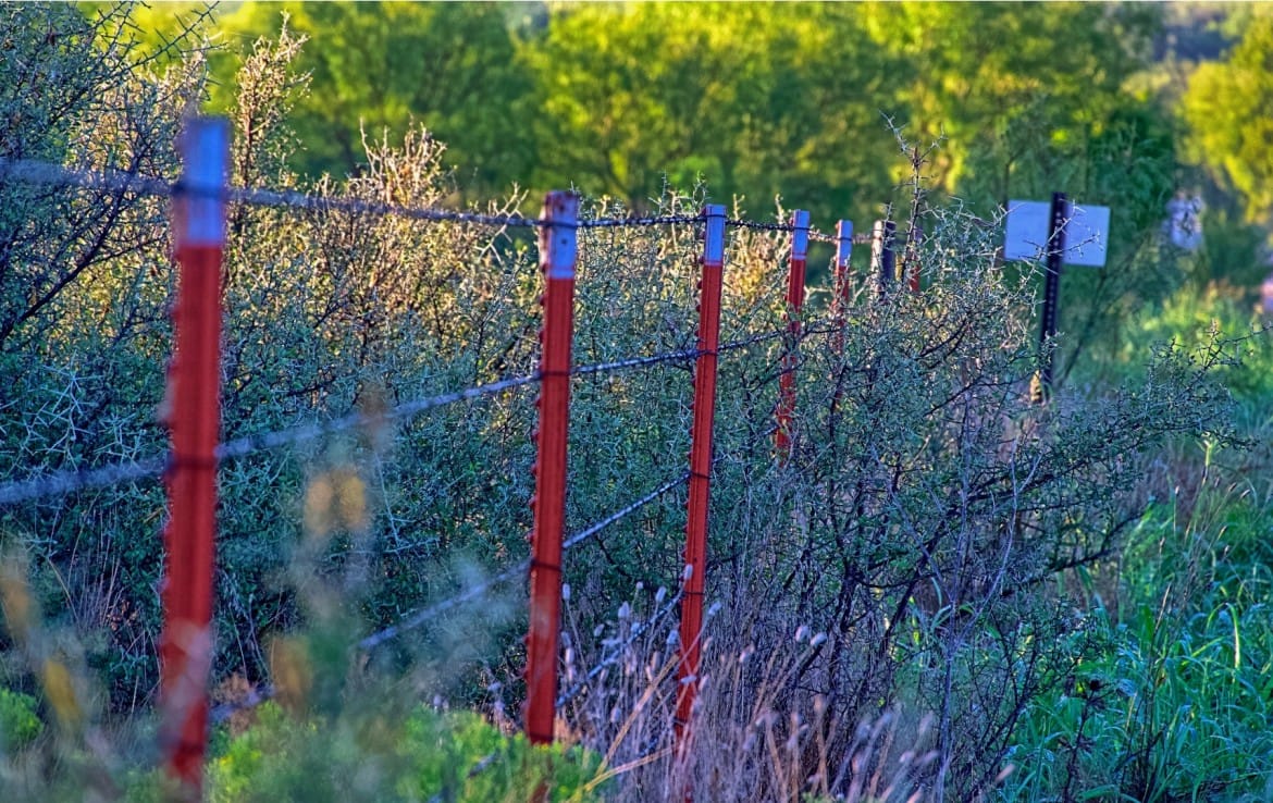 278 acres in Callahan and Shackelford County