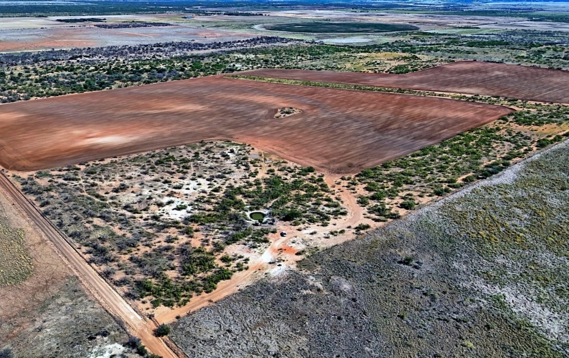 174 acres in Hardeman County