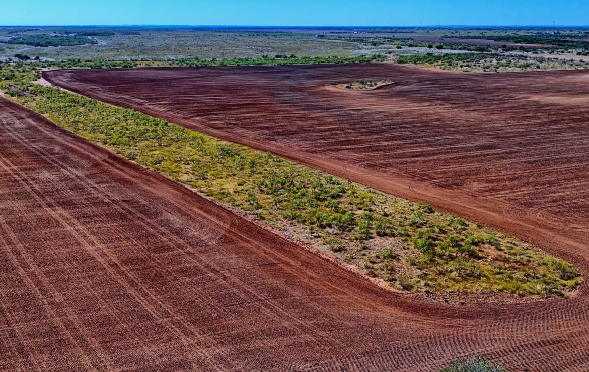 174 acres in Hardeman County