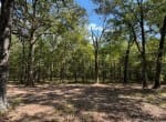 37 acres in Red River County