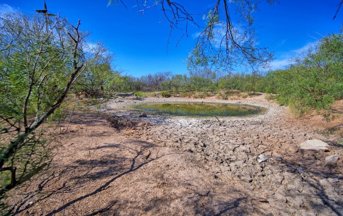 174 acres in Hardeman County