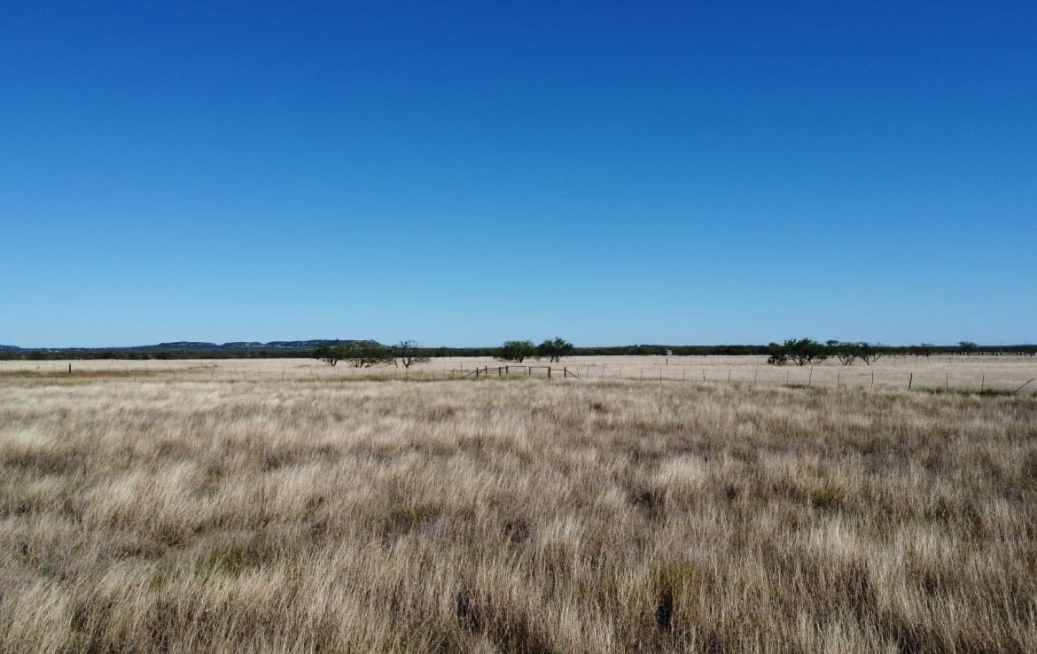 50 acres in Taylor County