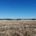 50 acres in Taylor County