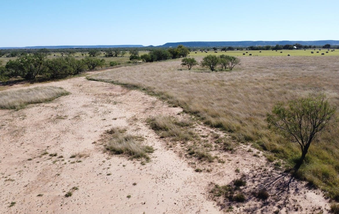 50 acres in Taylor County