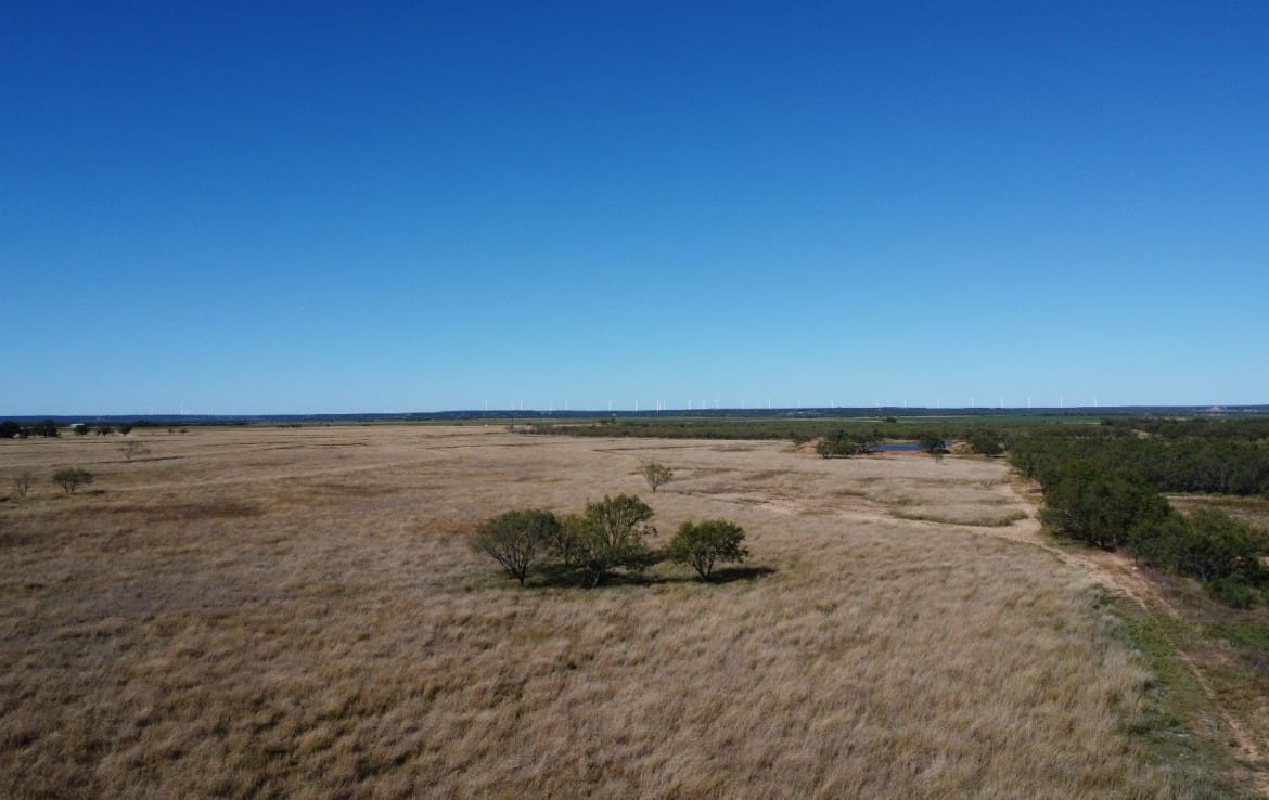 50 acres in Taylor County