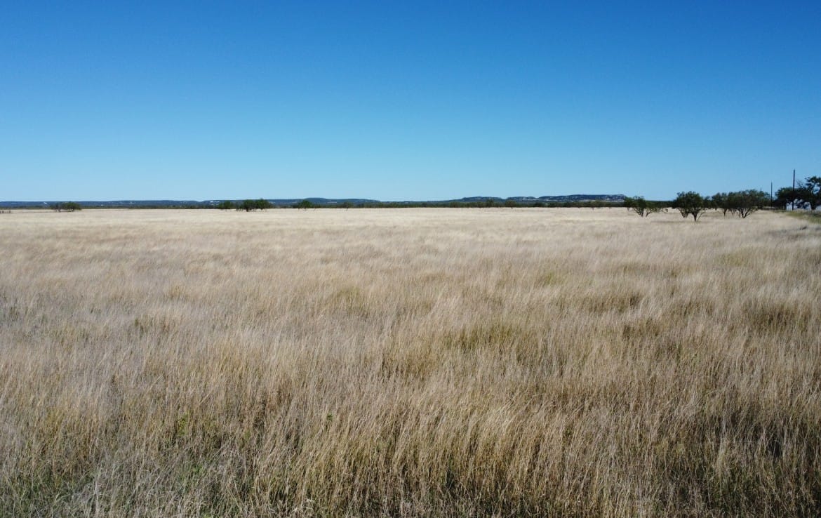 50 acres in Taylor County