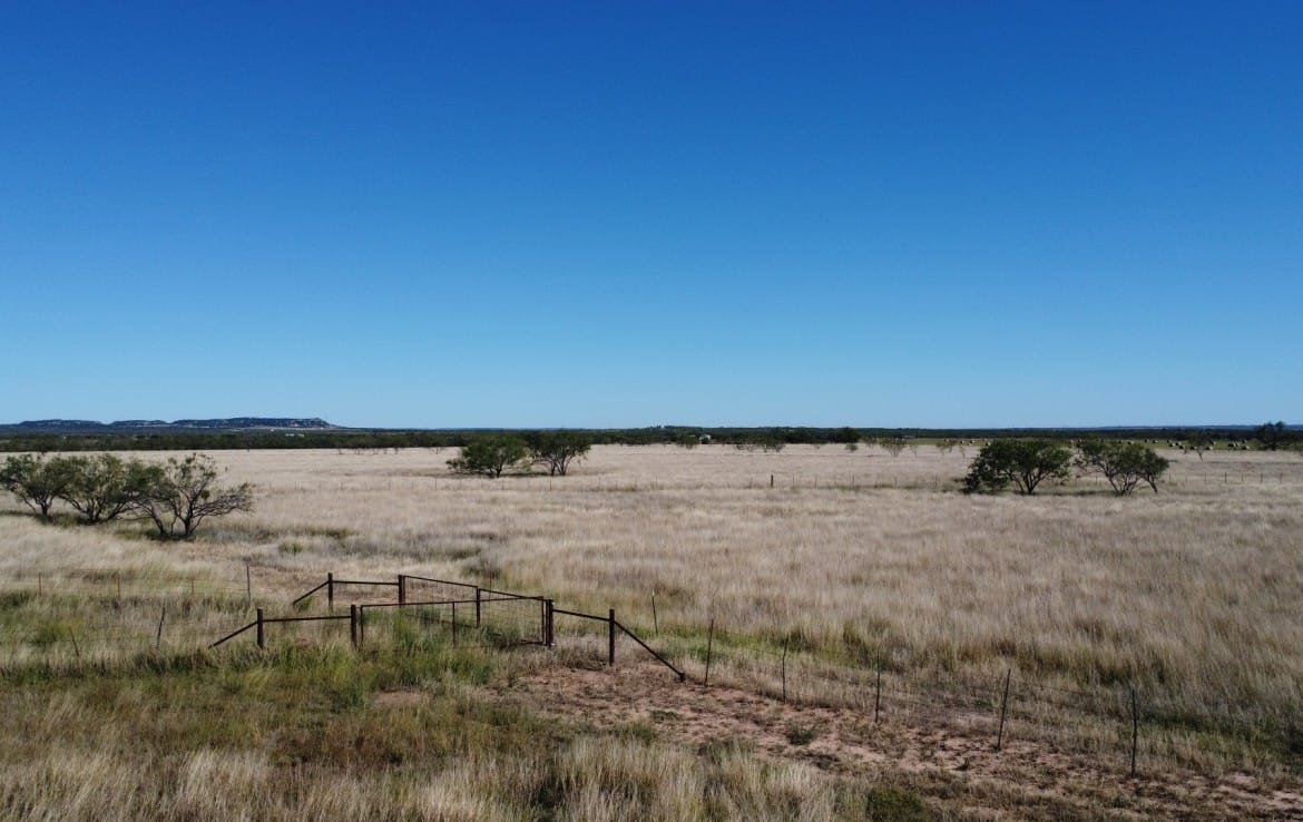 50 acres in Taylor County