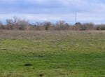 170 acres in Collin County