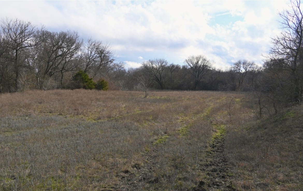 170 acres in Collin County
