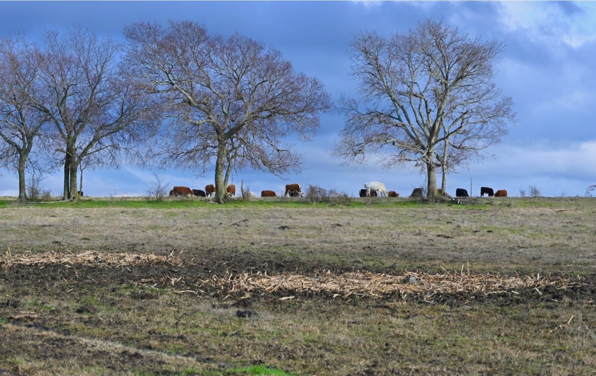 170 acres in Collin County