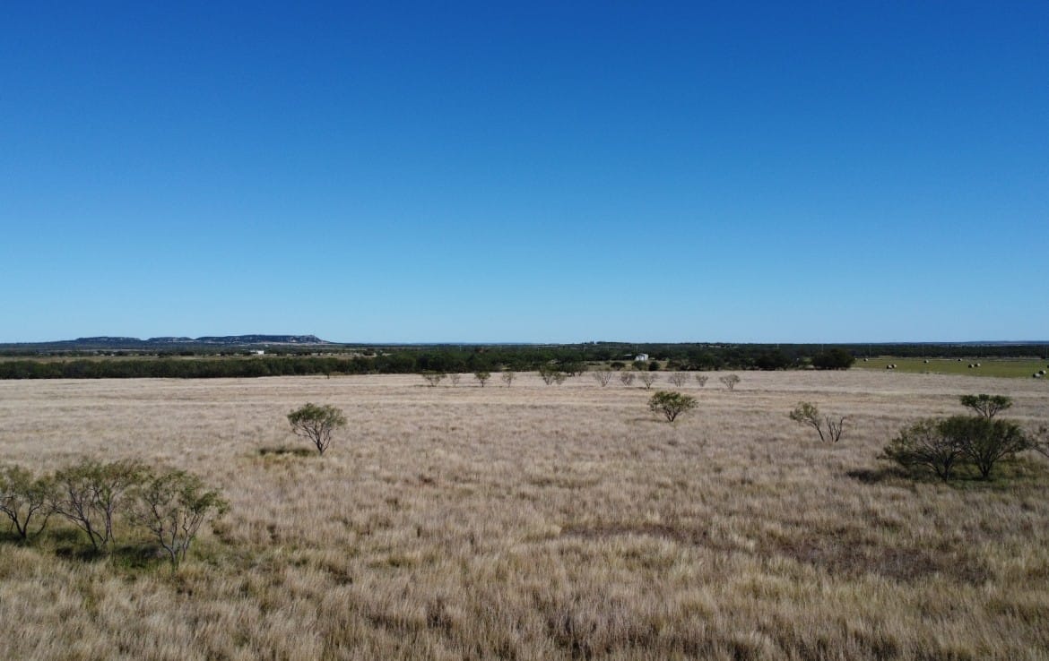 50 acres in Taylor County