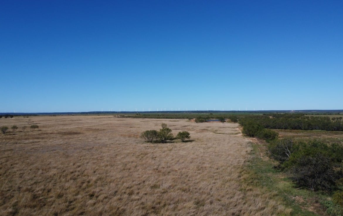 50 acres in Taylor County