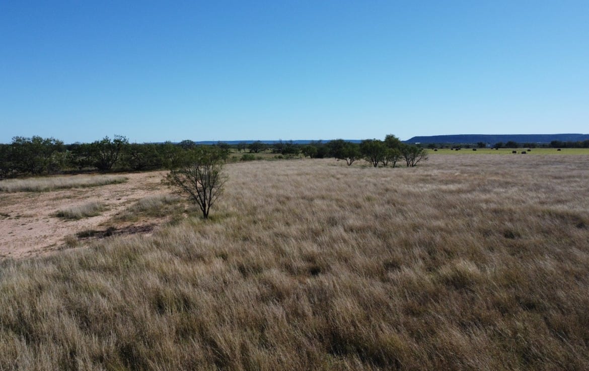 50 acres in Taylor County