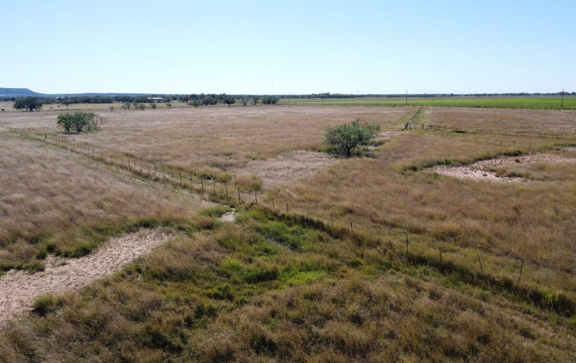 50 acres in Taylor County