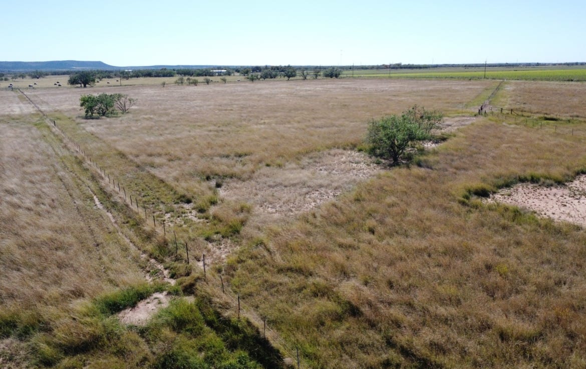 50 acres in Taylor County