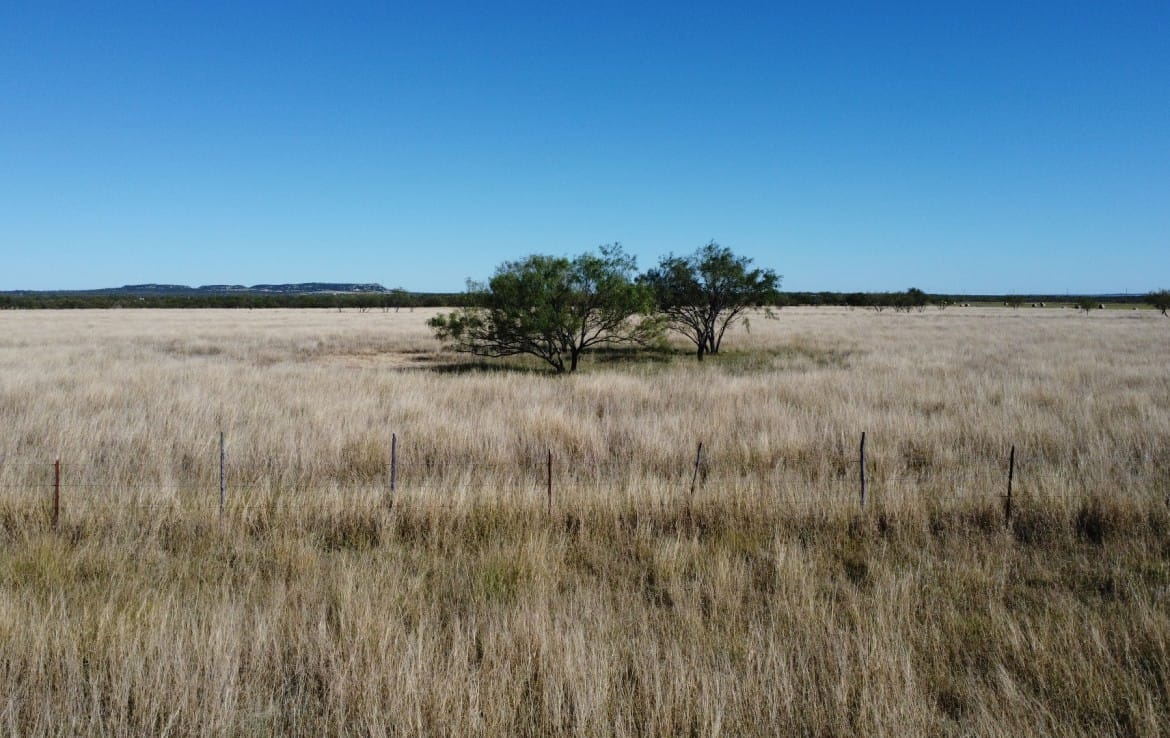50 acres in Taylor County