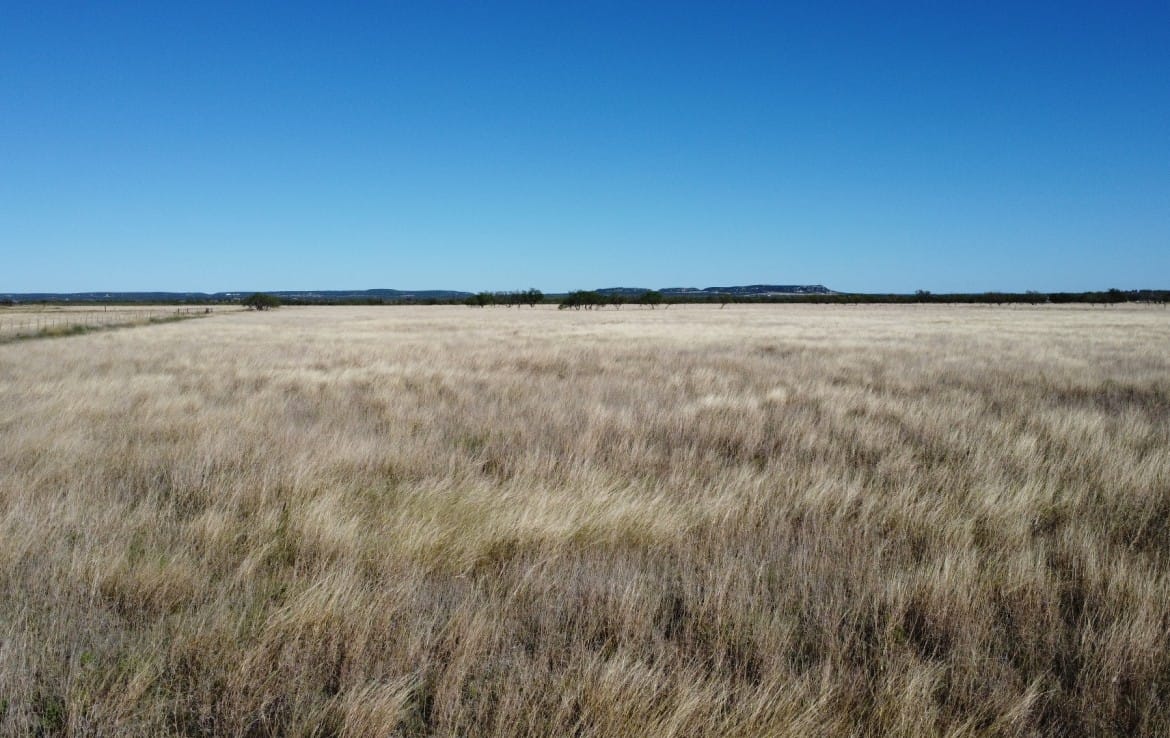 50 acres in Taylor County