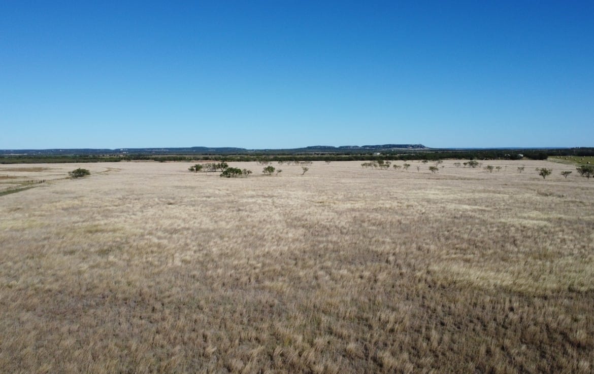 50 acres in Taylor County