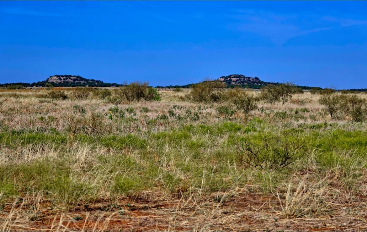 64 acres in Hardeman County