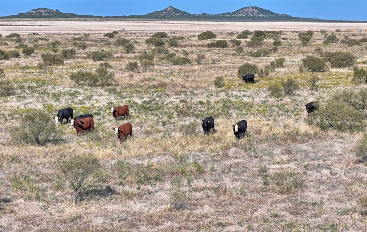 64 acres in Hardeman County