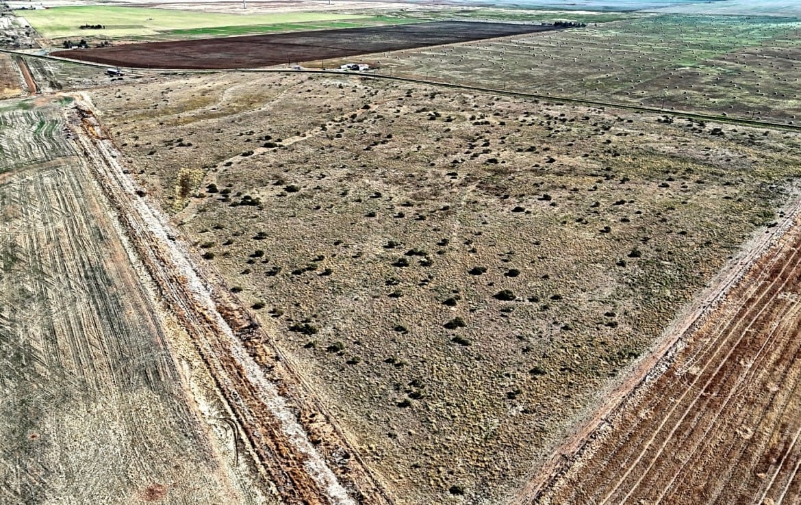 64 acres in Hardeman County