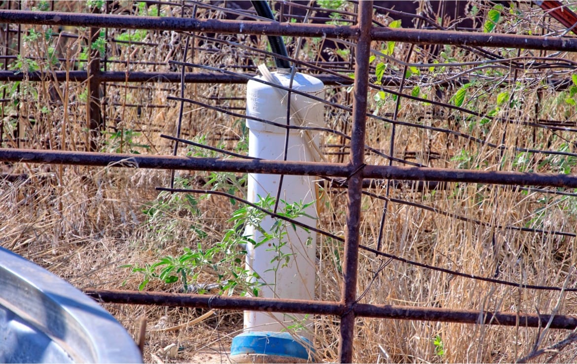 64 acres in Hardeman County