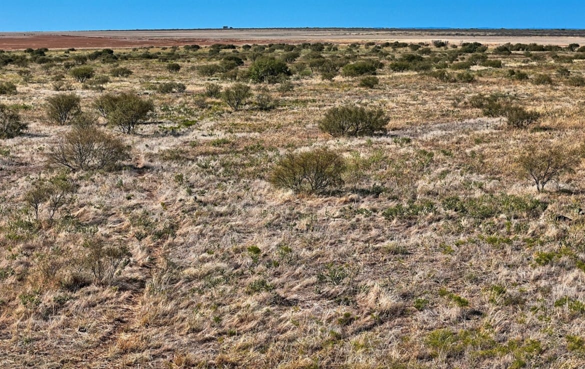 64 acres in Hardeman County