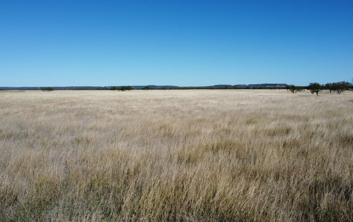 50 acres in Taylor County