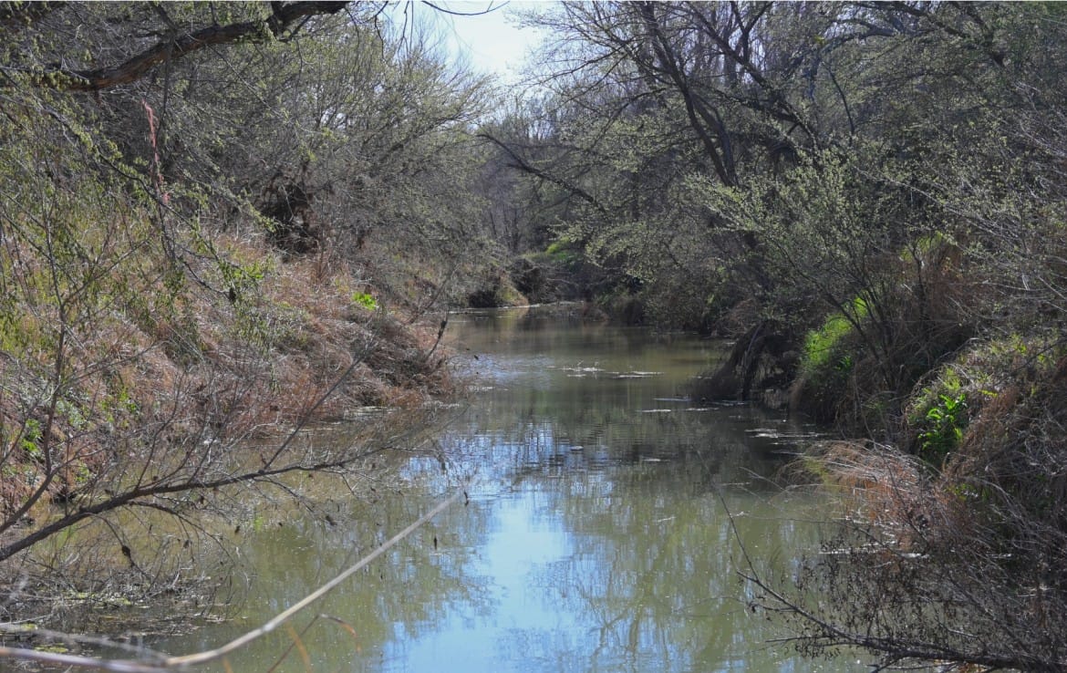 54 acres in Wilbarger County