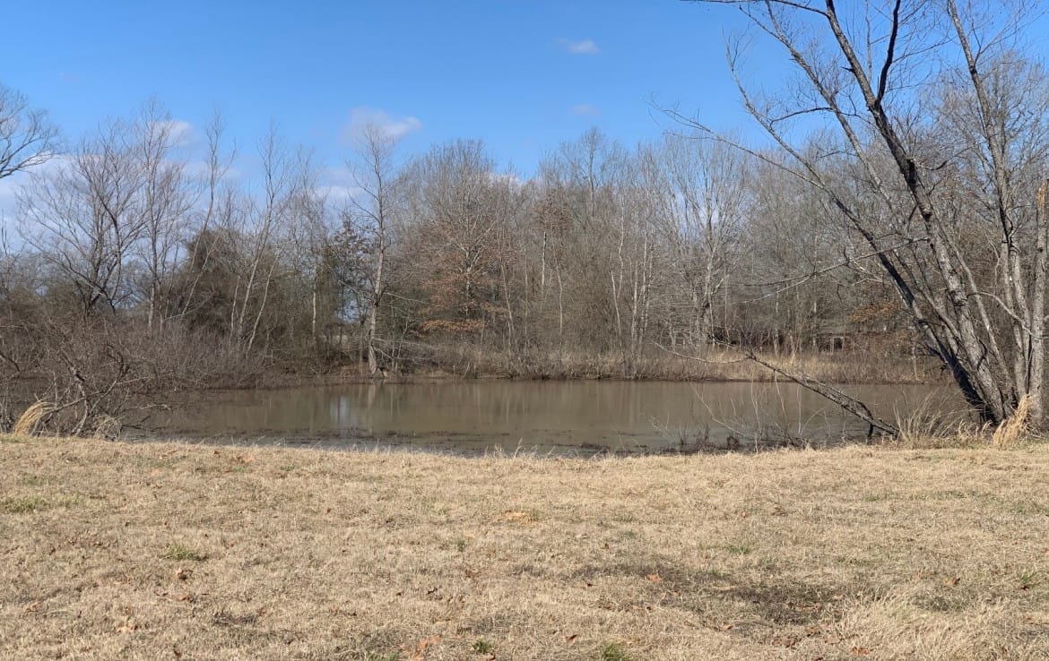 65 acres in Red River County