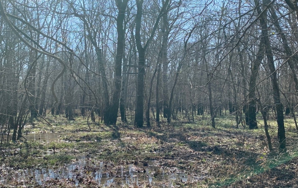 65 acres in Red River County