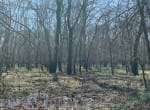 65 acres in Red River County