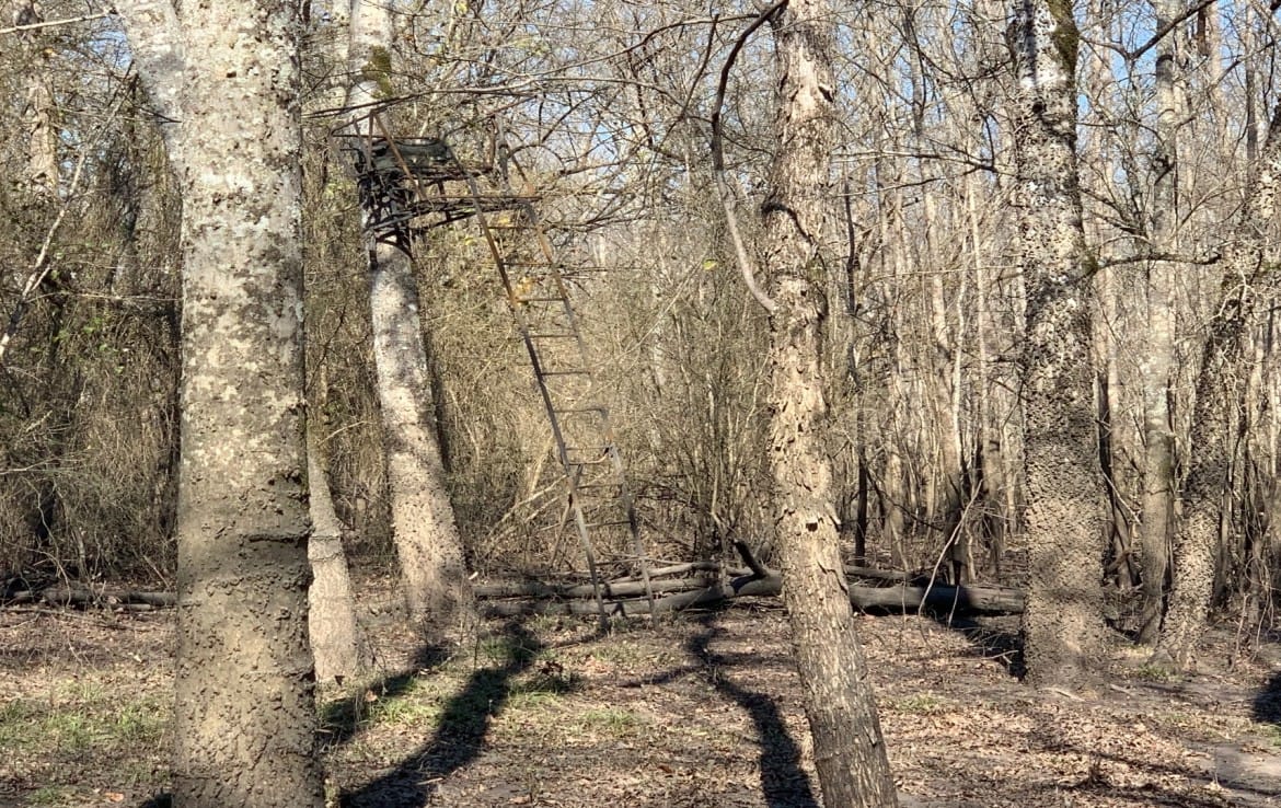 65 acres in Red River County