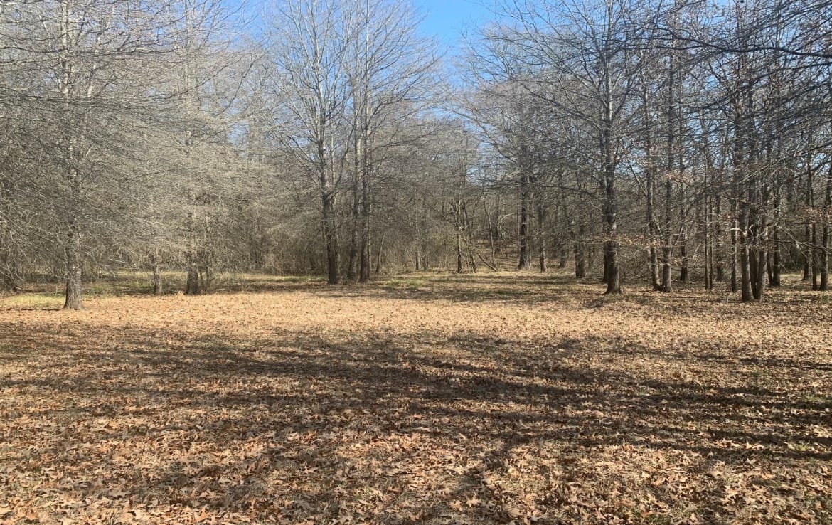 65 acres in Red River County